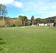 Mole Creek Camping Ground - Tweed Heads Accommodation