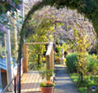 Penarth Haven - Tweed Heads Accommodation