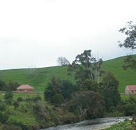 Tin Dragon Trail Cottages - Tweed Heads Accommodation