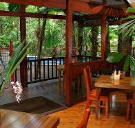 Daintree Wilderness Lodge - Tweed Heads Accommodation