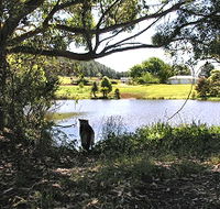 Newry Park Cottage - Tweed Heads Accommodation