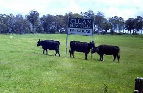  Tweed Heads Accommodation