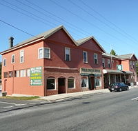 Mole Creek Hotel - Tweed Heads Accommodation