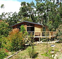 Southern Forest Accommodation - Tweed Heads Accommodation