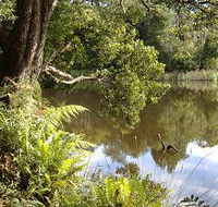 Weldborough Camping Ground - Tweed Heads Accommodation