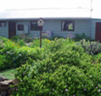 Engadine Cottage - Tweed Heads Accommodation