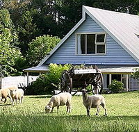 Hide-Away Cottage Retreat - Tweed Heads Accommodation