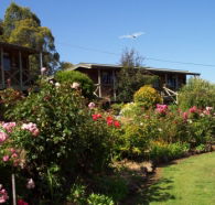 Mole Creek Holiday Village - Tweed Heads Accommodation