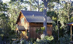 Cradle Mountain Highlanders - Tweed Heads Accommodation 1