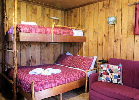 Cradle Mountain Highlanders - Tweed Heads Accommodation 4