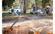 Rainbow Waters Holiday Park - thumb 4