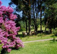 Figlea Cottages - Tweed Heads Accommodation