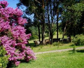 Figlea Cottages - Tweed Heads Accommodation 0