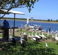 Mountain View Caravan and Mobile Home Village - Tweed Heads Accommodation