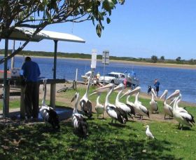 Mountain View Caravan And Mobile Home Village - Tweed Heads Accommodation 0