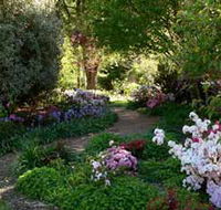 Wombat Hill Bed and Breakfast - Tweed Heads Accommodation