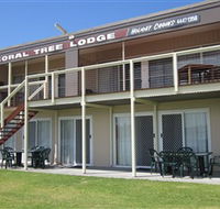 Coral Tree Lodge Tourist Park - Tweed Heads Accommodation