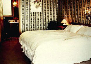 Avalanche Homestead - Tweed Heads Accommodation 1