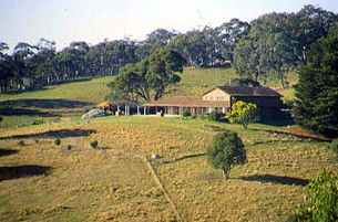 Avalanche Homestead - Tweed Heads Accommodation 4
