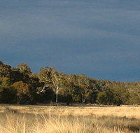 Namadgi National Park - Tweed Heads Accommodation