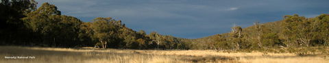 Namadgi National Park - Tweed Heads Accommodation 0