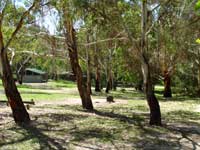 Woods Reserve - Tweed Heads Accommodation 0