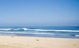 Berry Orchard - Tweed Heads Accommodation 2