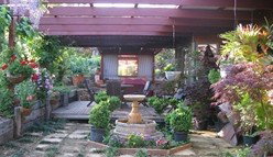 Blossoms Bed And Breakfast - Tweed Heads Accommodation 0