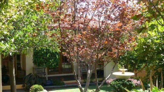 Merimbula NSW Tweed Heads Accommodation
