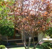 Akame - Tweed Heads Accommodation