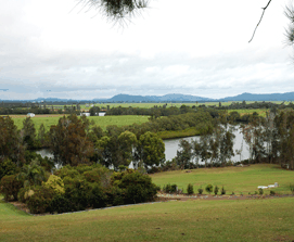 Bimbimbi Riverside Caravan Park - Tweed Heads Accommodation
