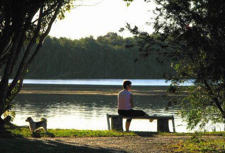 Fishing Haven Caravan Park - Tweed Heads Accommodation 2