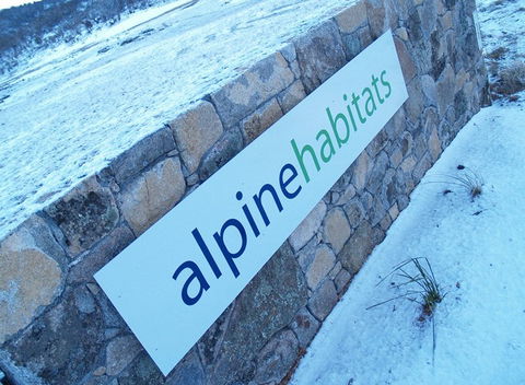 Alpine Habitats - Tweed Heads Accommodation 4