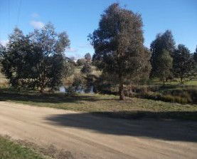 Delegate NSW Tweed Heads Accommodation