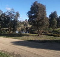 Delegate Caravan Park - Tweed Heads Accommodation