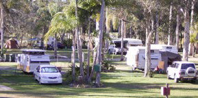 Brigadoon Holiday Park - Tweed Heads Accommodation 2
