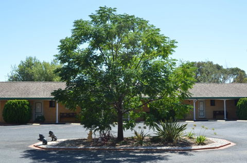 Hilltops Retreat Motor Inn - Tweed Heads Accommodation 6