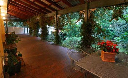 Ms. - Tweed Heads Accommodation 0