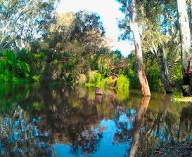 Wanganella Creek Camp Park - Tweed Heads Accommodation 1