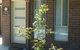 Armidale Executive Short Stay Apartments - thumb 1