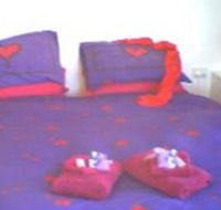 Aloomba Lavender - Accommodation - Tweed Heads Accommodation
