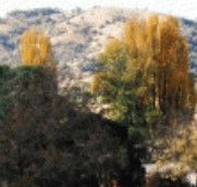 Birches Bed and Breakfast at Nundle - Tweed Heads Accommodation