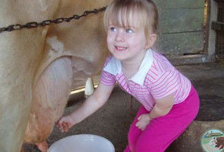 Ashmar Farm Stay - Tweed Heads Accommodation 5