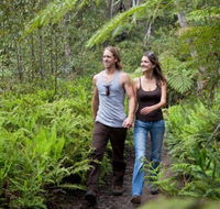 Blackheath Glen Tourist Park - Tweed Heads Accommodation