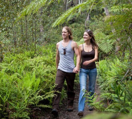 Blackheath Glen Tourist Park - Tweed Heads Accommodation 0