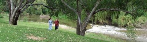Apex Riverside Tourist Park - Tweed Heads Accommodation 4