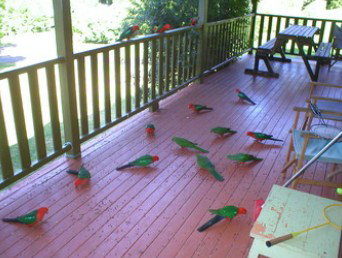 A Little Bit Of Heaven - Holiday Home - Tweed Heads Accommodation 8