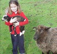 Cinnamon Coloureds Farmstay - Tweed Heads Accommodation