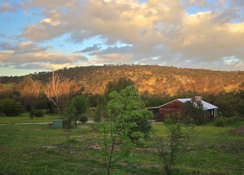 Lavendale Farmstay And Cottages - Tweed Heads Accommodation 4