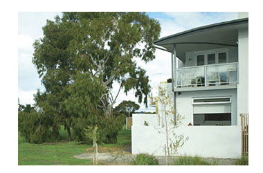 ParkSide Stay - Tweed Heads Accommodation 0